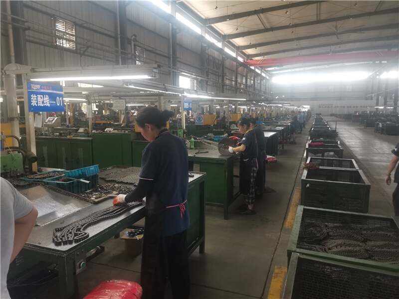 New Button Clamp (Type H)  10B1GC-H Stainless Steel Gripper Roller Chain for Form Fill and Vacuum Seal Wrapping
