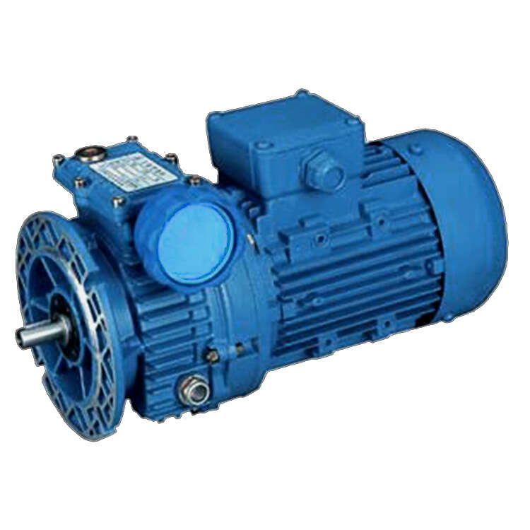 YL90S-4 1.5HP Single Phase Induction Motor