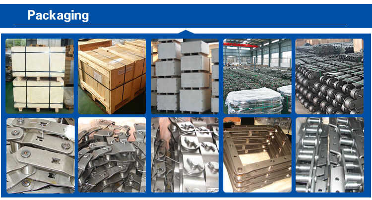 Palm Oil Chain Industrial Maxtop Stainless Steel Roller Chain(ISO)