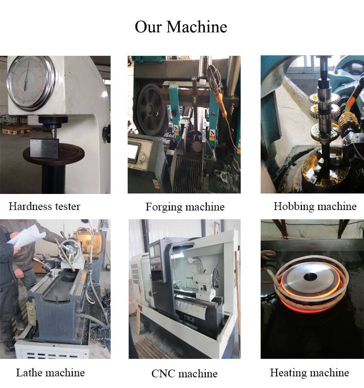 Spur Bull Gear Drive Gear Large Gear Wheel Non Standard Forging Alloy Steel Marketing OEM Hot HEN Time Surface Video Energy DIN