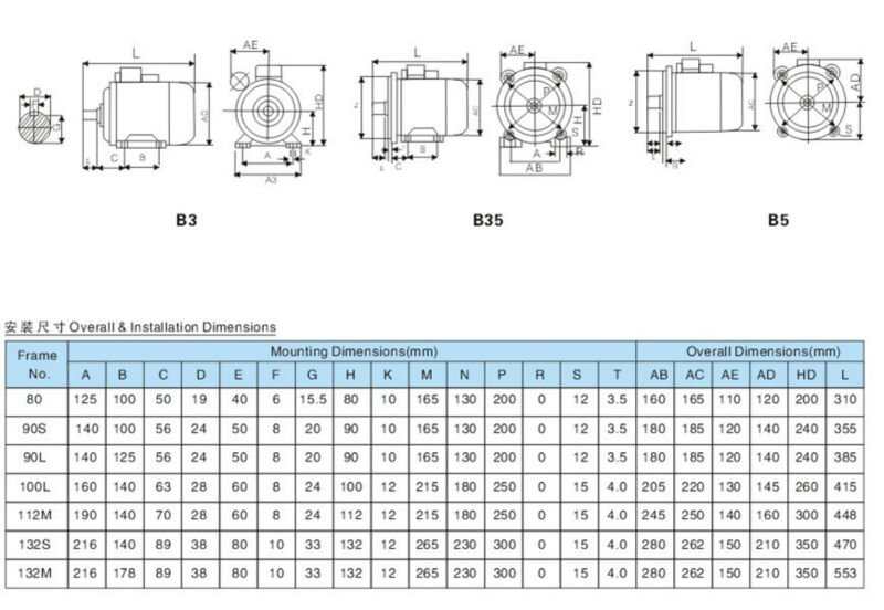 Multifunctional Electric Induction Motor Made in China