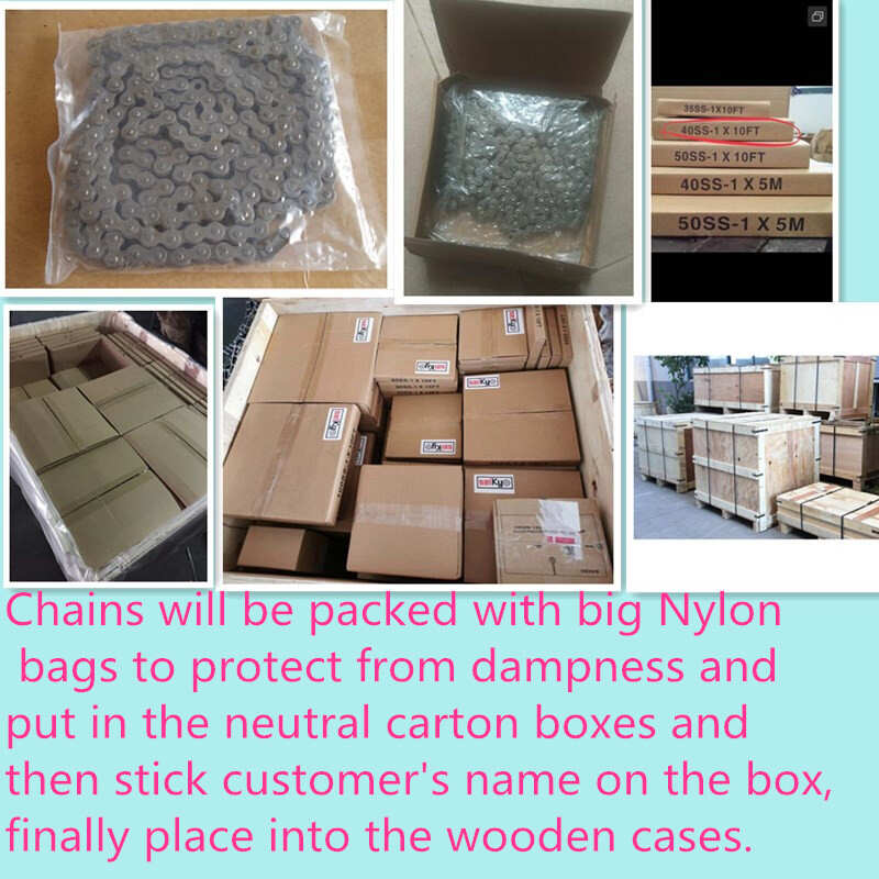 Wholesale ANSI Standard Double-Strand Roller Chain 80-2