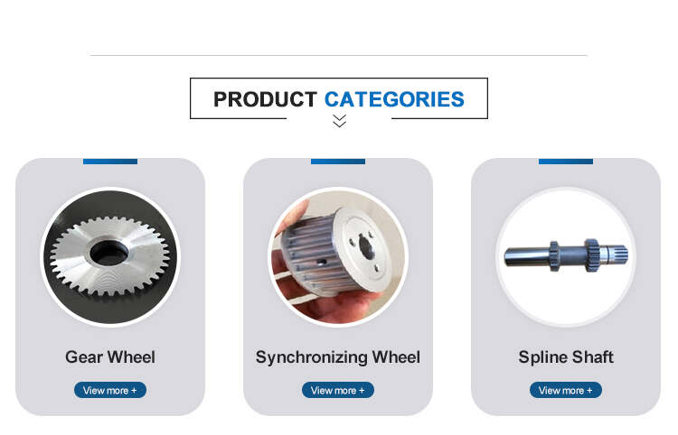 Customized Steel 17 Teeth Worm Wheel Gear Used for Meat Grinder Motor Car and Crown Pinion Gears
