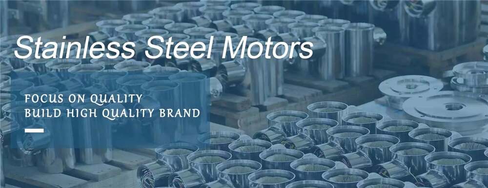Factory Sale Various B5 Flange Mounted -TEFC Stainless Steel Motor for Food Processing Plant