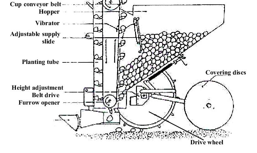 1 Row Potato PlanterPotato Seeder With Fertilizer Applicator