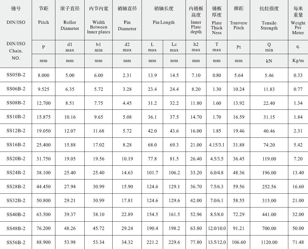 SS56B-2 B Series Stainless Steel Short Pitch Precision Duplex Roller Chain and Sprockets in Steel