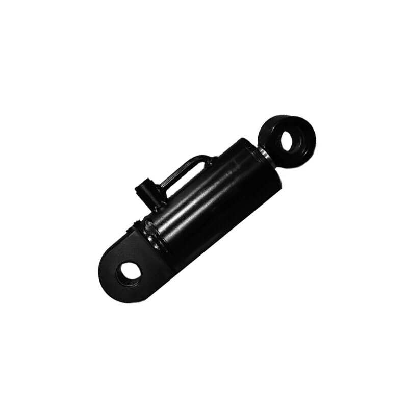 Raydafon Custom Made Hydraulic Cylinder for Agricultural Machinery Hydraulic Lifting Double Acting Hydraulic Oil Cylinder