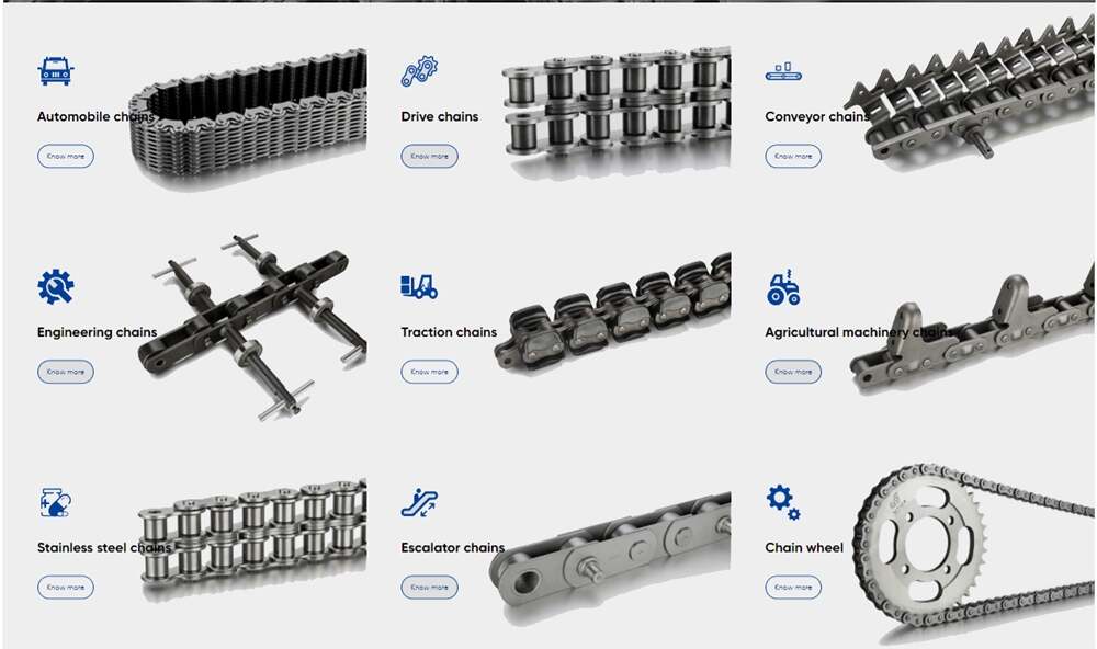 Professional Factory Flat Top Stainless Steel Conveyor Chain Made in China