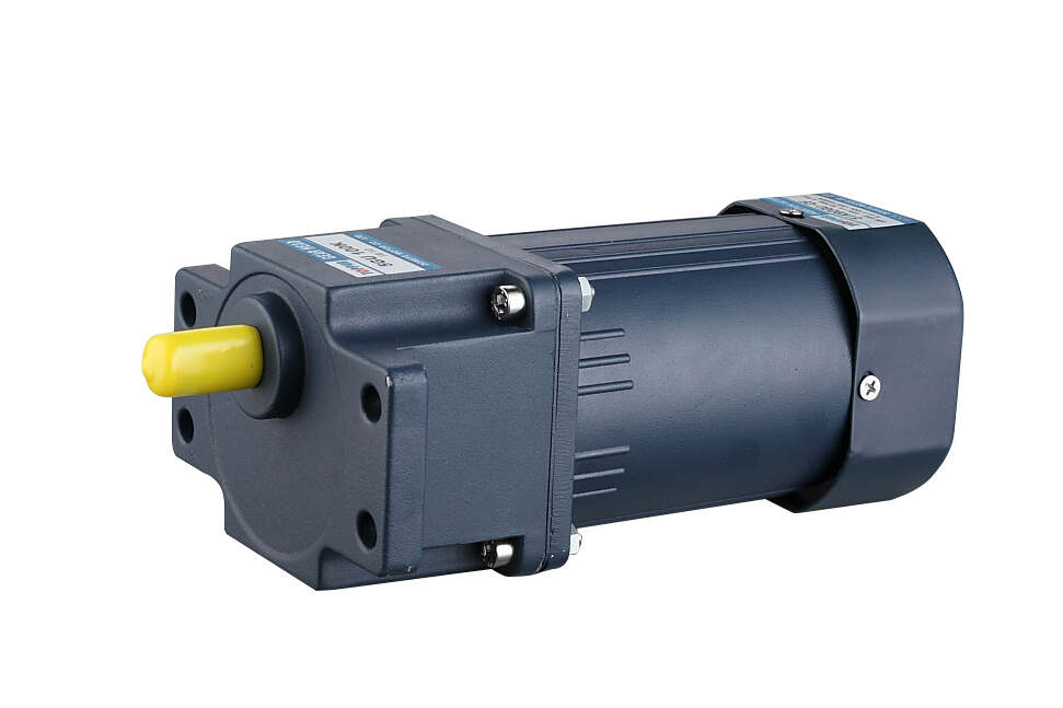 Single Phase AC Gear Motor