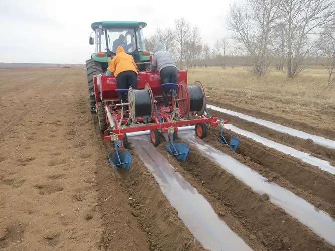 2 Row Potato Planter Machine