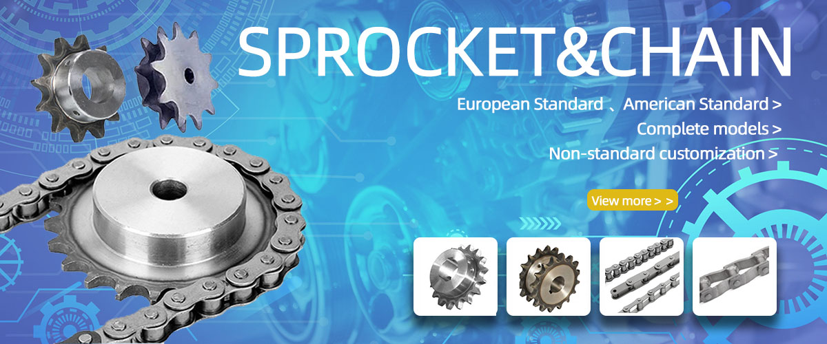 Drive Conveyor Leaf Elevator Silent Hoisting Pintle Cast Engineering Drag Link Duplex Sprocket Stainless Steel Roller Chain
