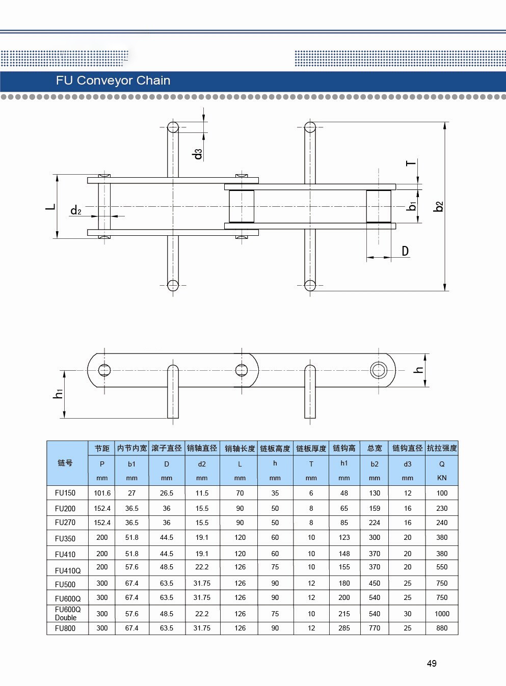 Special Cast Chain Made in China with ISO Certified
