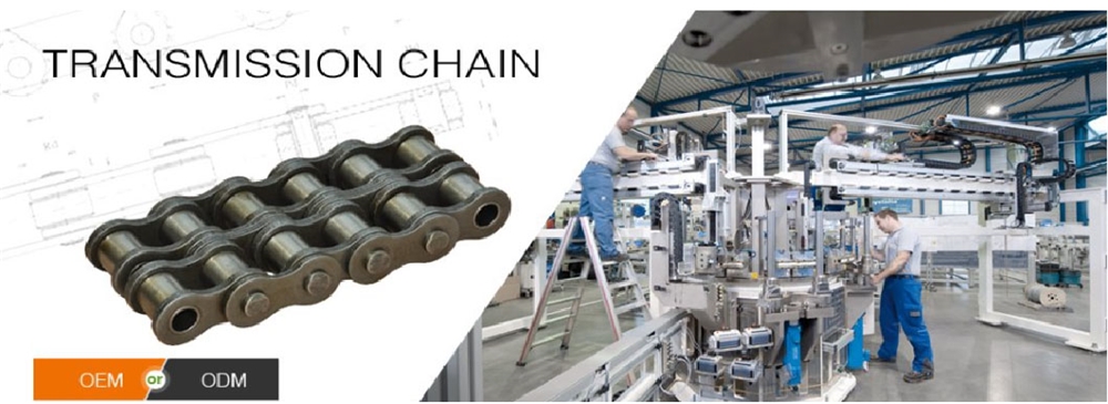Transmission Chain Conveyor Drive Metric Ansi Din Standard Pitch Industrial Heavy Duty Stainless Steel Cast Roller Chains