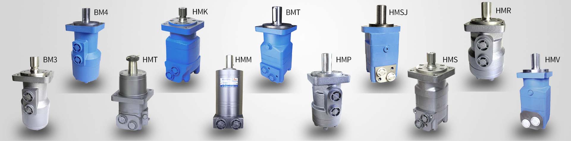 BMH Series Cycloidal Hydraulic Motor