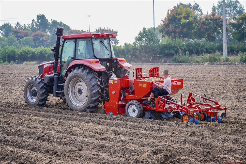 2 Row Potato Planter Machine