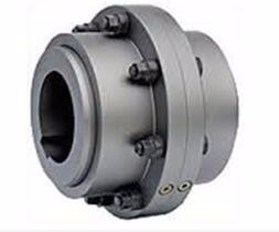 High Torque Stainless Steel & Nylon Flange Gear Coupling Customized OEM Support with Flexible Shaft JAW Tooth Chain Couplings