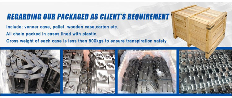 Special Cast Chain Made in China with ISO Certified