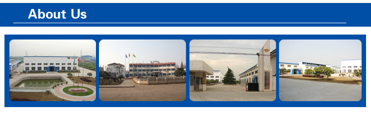 Palm Oil Chain Industrial Maxtop Stainless Steel Roller Chain(ISO)
