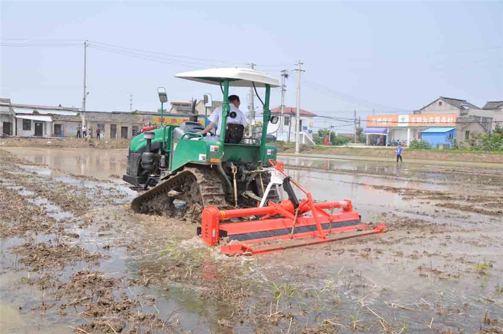 New Design Simple Land Leveler 3 Point Tractor