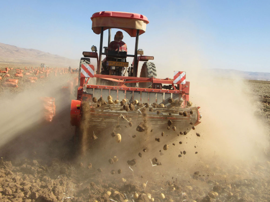 AWB-1600CAR 2 ROWS Potato Harvester 1500kg Side Discharge + Deviner Web Trailed Potato Diggers for Carrots, Garlic or Onions