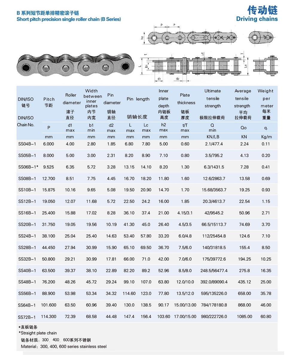 Industrial Manufacturers Stainless Steel Conveyor Roller Chain SS10B