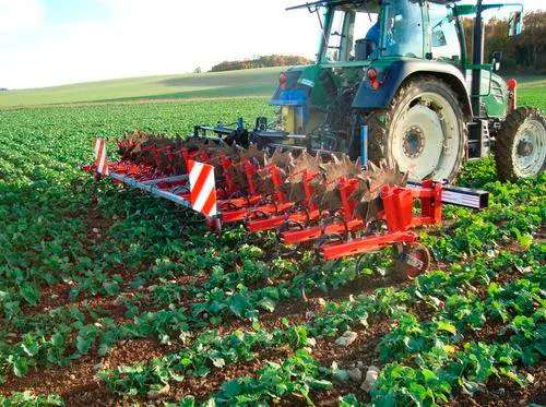 3 Point Hitch Cultivator Mounted Spring Tine Cultivator Shovel Plow