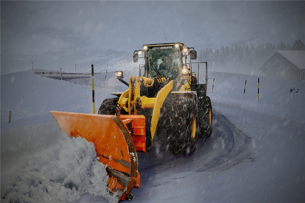 Guaranteed Quality Agricultural D1 Attachment 662 Steel Pintle Chains and Sprocket for Snow Remover